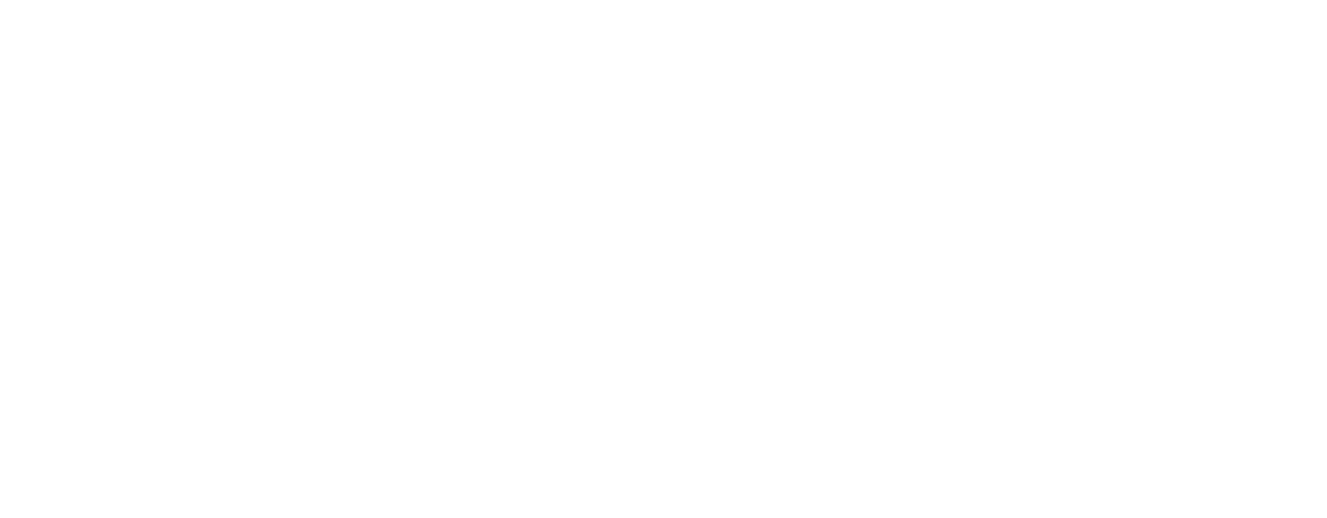 Brasserie Bordelaise